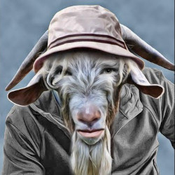 Ugly Old Goat — Bitcoin Wallets & Open Source W/ Leo Wandersleb